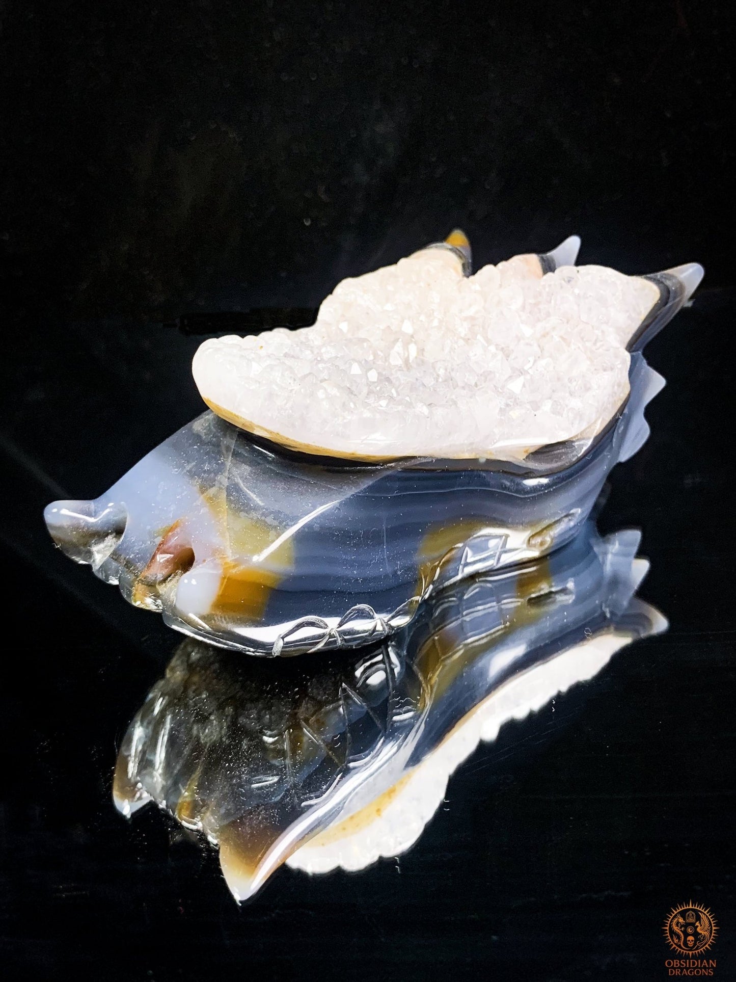 Crâne de Dragon en Agate – Géode de Quartz – L’Appel des Brumes | obsidian dragons