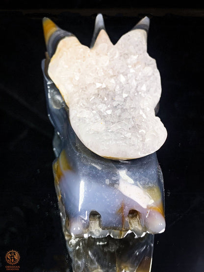 Crâne de Dragon en Agate – Géode de Quartz – L’Appel des Brumes | obsidian dragons