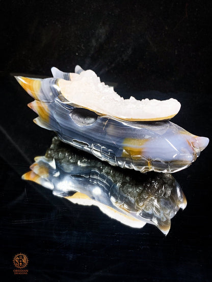 Crâne de Dragon en Agate – Géode de Quartz – L’Appel des Brumes | obsidian dragons