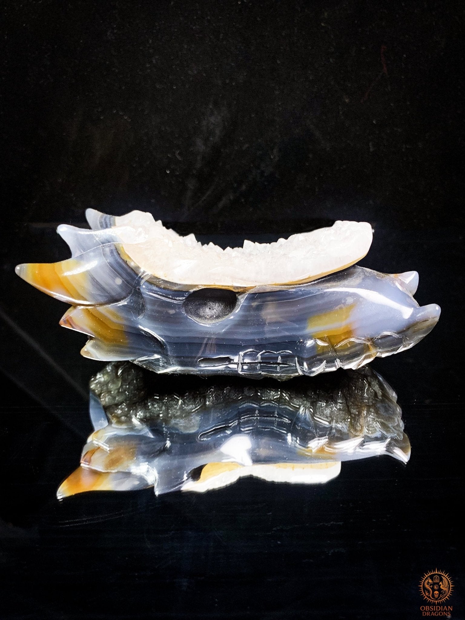 Crâne de Dragon en Agate – Géode de Quartz – L’Appel des Brumes | obsidian dragons