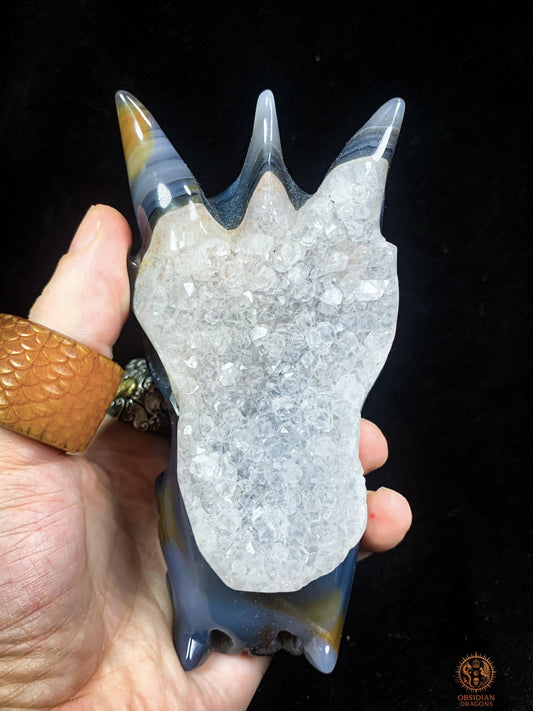 Crâne de Dragon en Agate – Géode de Quartz – L’Appel des Brumes | obsidian dragons