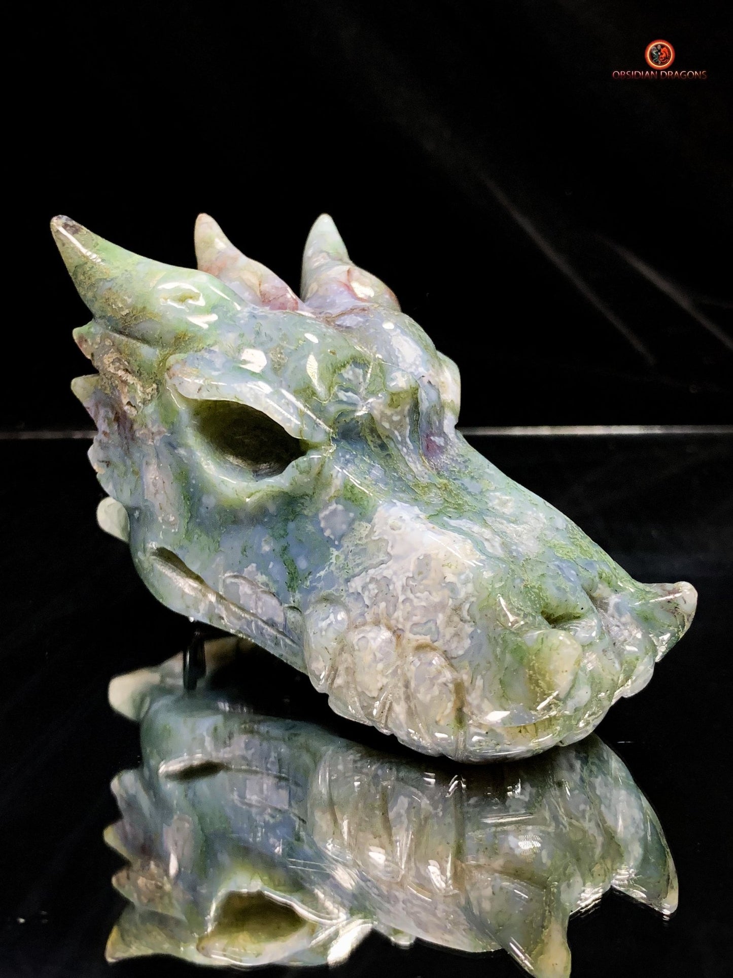 Crâne de Dragon en Agate Mousse - Énergie draconique | obsidian dragons