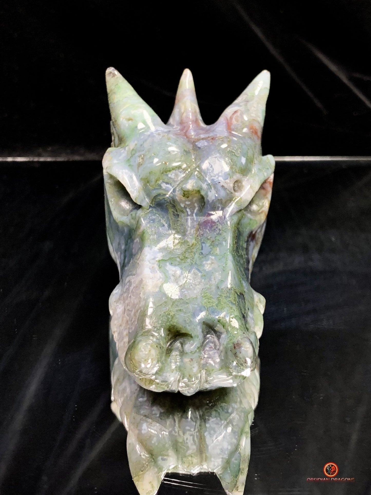 Crâne de Dragon en Agate Mousse - Énergie draconique | obsidian dragons