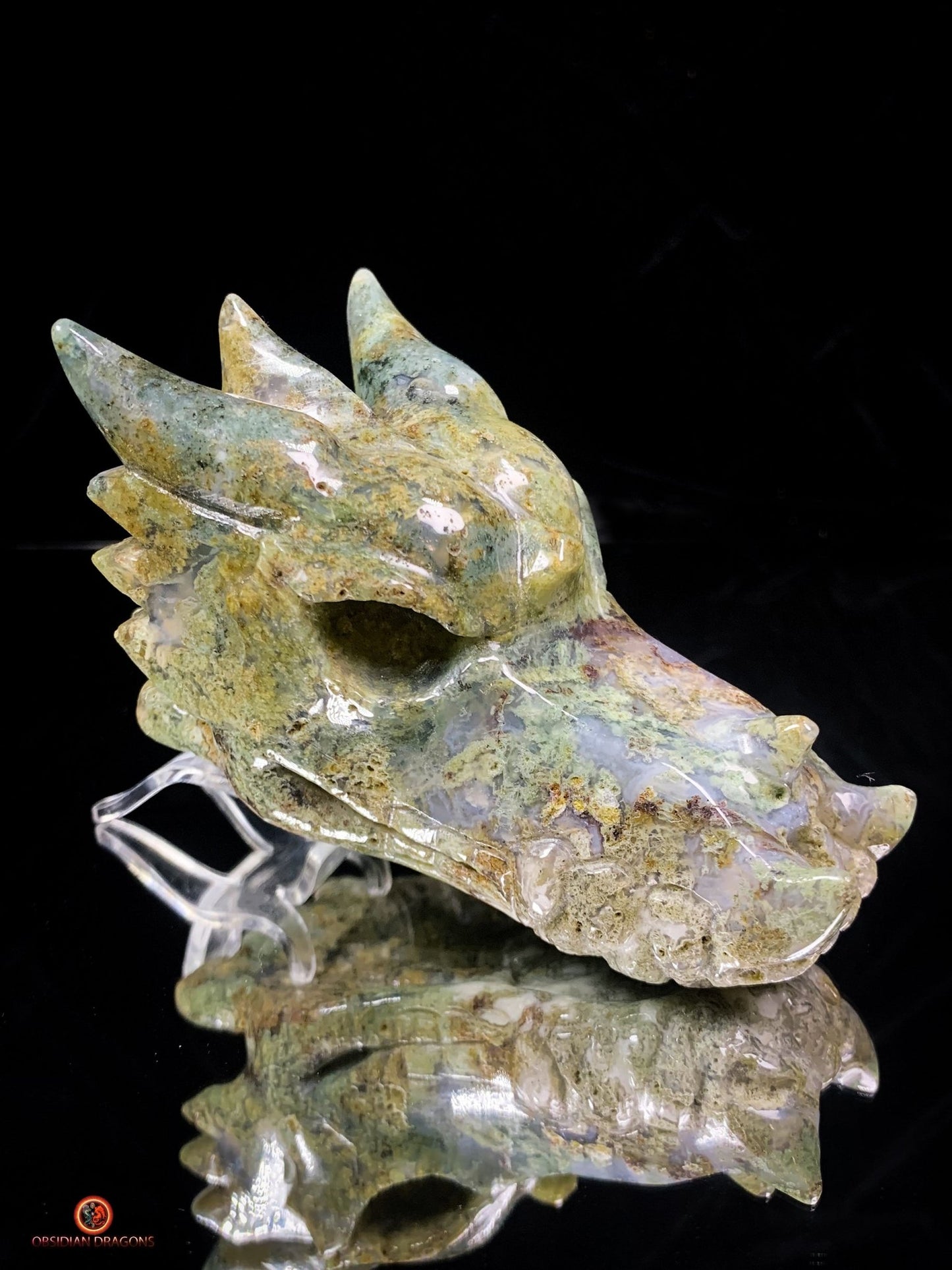 Crâne de Dragon en Agate Mousse – Puissance et Connexion Spirituelle | obsidian dragons