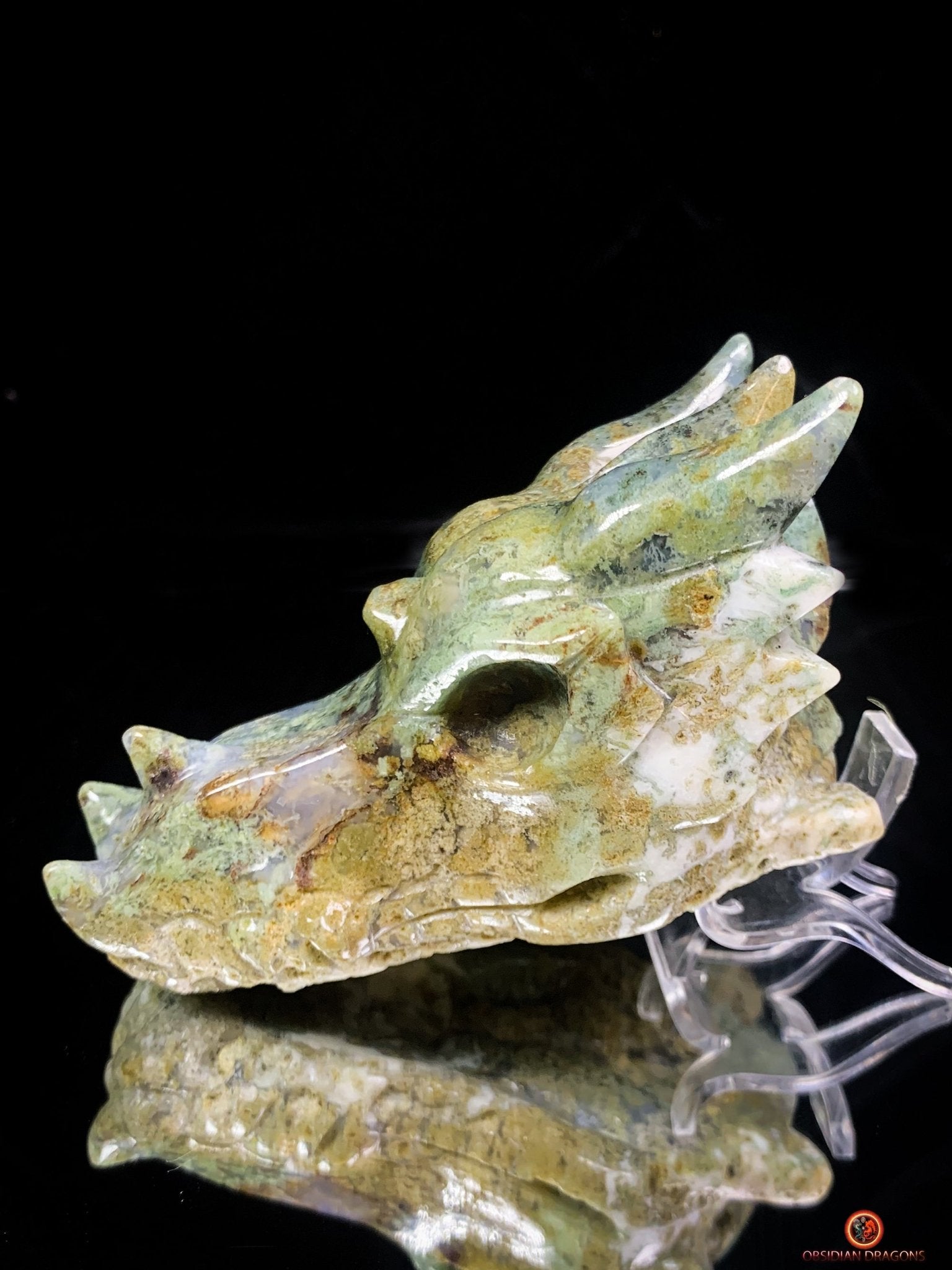 Crâne de Dragon en Agate Mousse – Puissance et Connexion Spirituelle | obsidian dragons