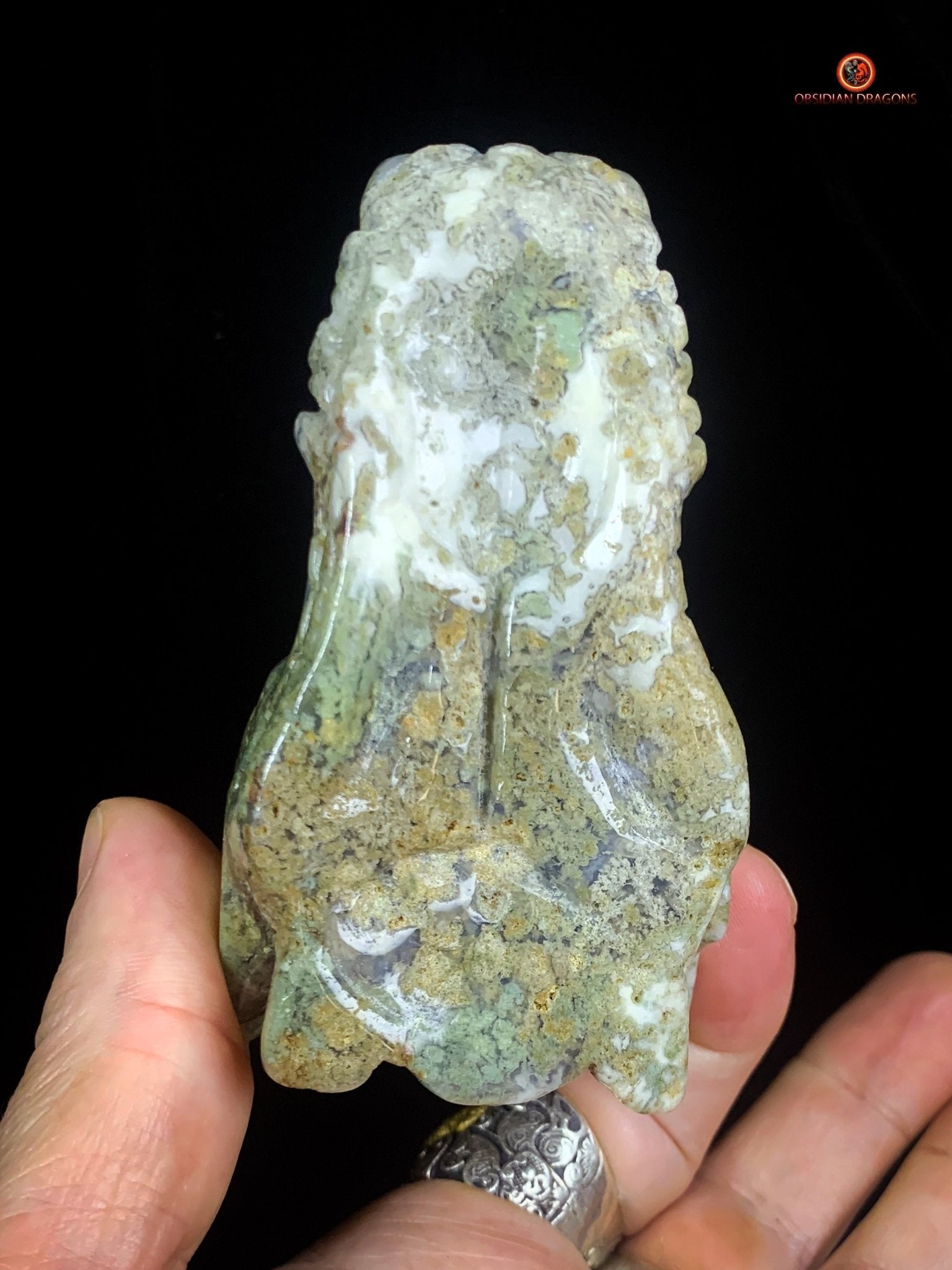 Crâne de Dragon en Agate Mousse – Puissance et Connexion Spirituelle - obsidian dragons
