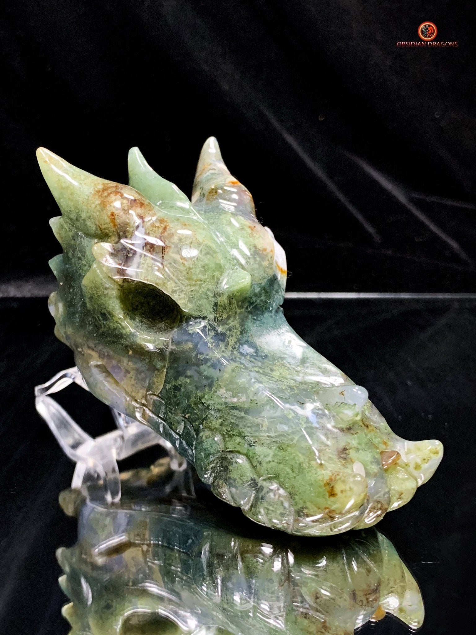 Crâne de Dragon en Agate Mousse - Puissance et Équilibre | obsidian dragons