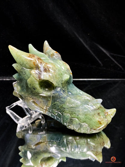 Crâne de Dragon en Agate Mousse - Puissance et Équilibre | obsidian dragons
