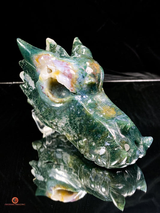 Crâne de Dragon en Agate Mousse - Puissance et Transformation | obsidian dragons