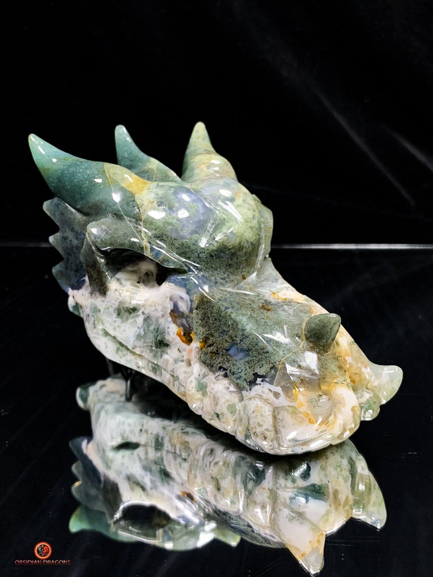 Crâne de Dragon en Agate Mousse - Transformation Intérieure | obsidian dragons