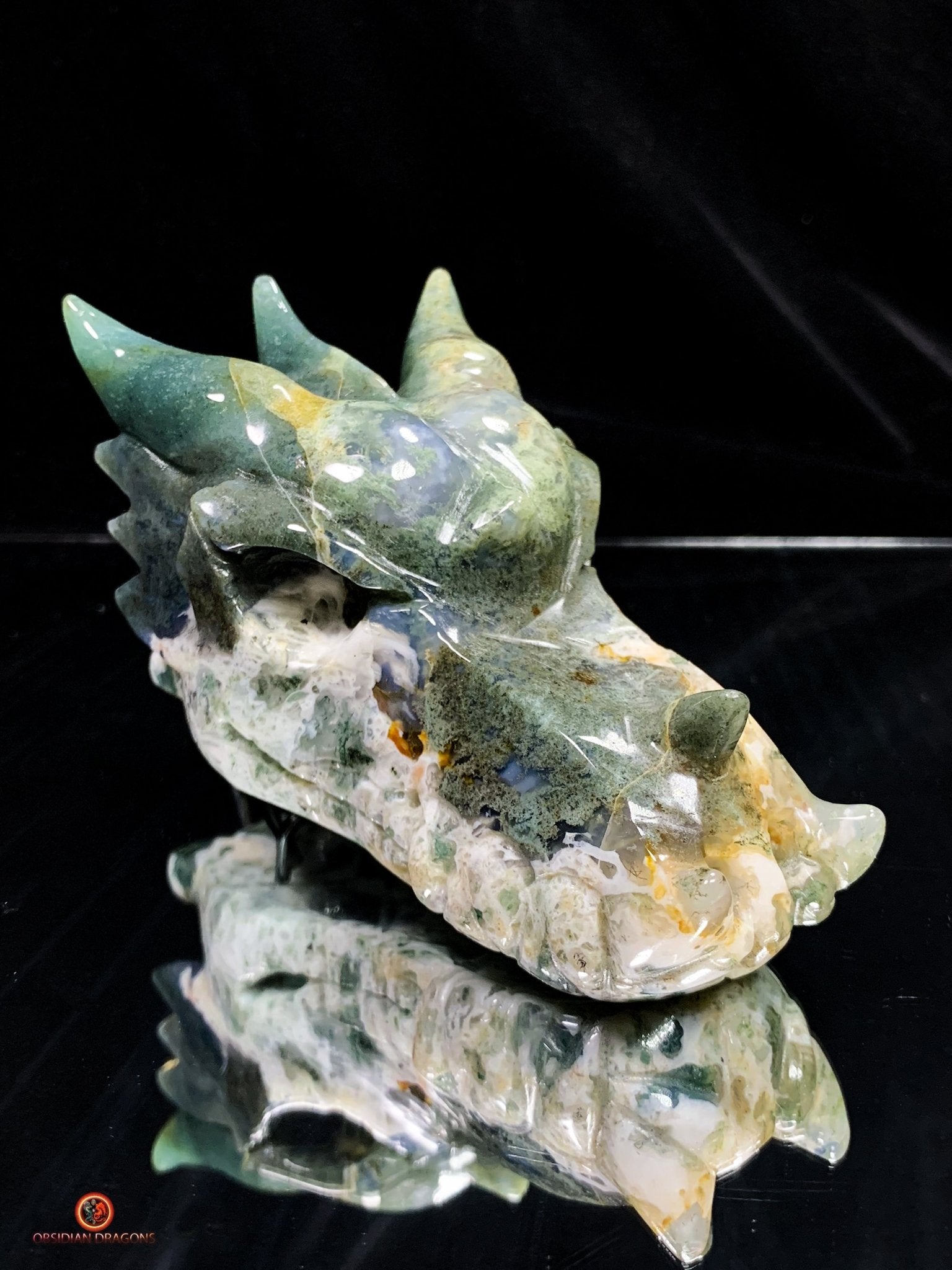 Crâne de Dragon en Agate Mousse - Transformation Intérieure | obsidian dragons