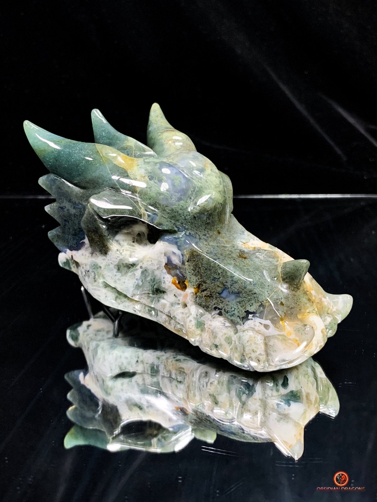 Crâne de Dragon en Agate Mousse - Transformation Intérieure | obsidian dragons