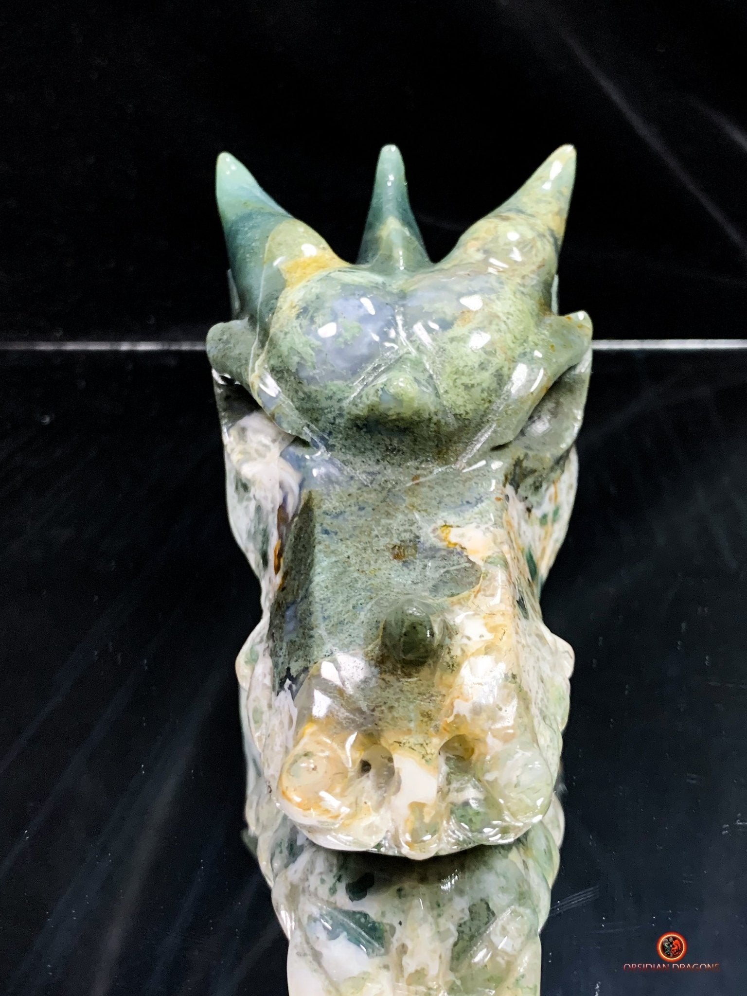 Crâne de Dragon en Agate Mousse - Transformation Intérieure | obsidian dragons
