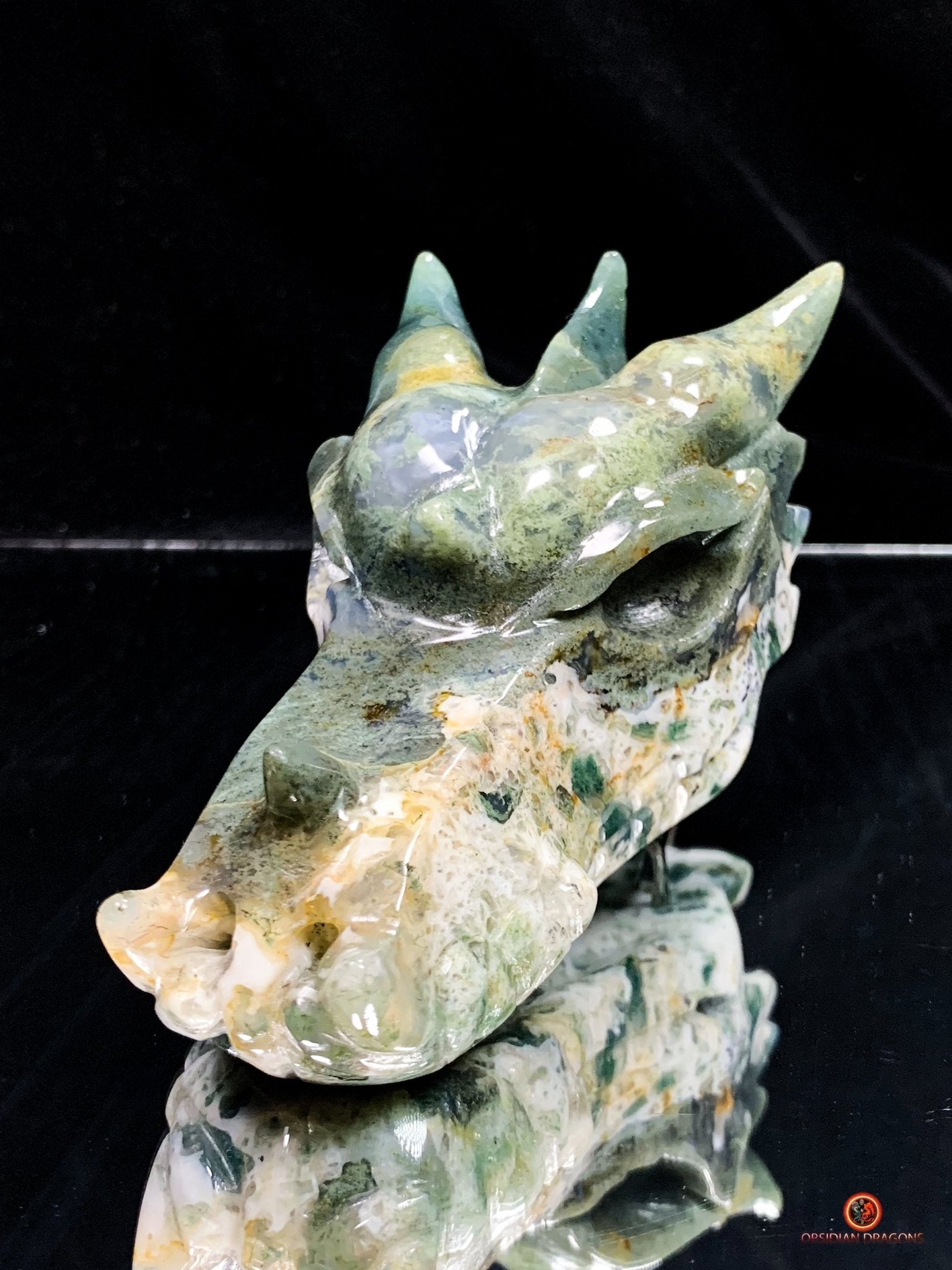 Crâne de Dragon en Agate Mousse - Transformation Intérieure | obsidian dragons