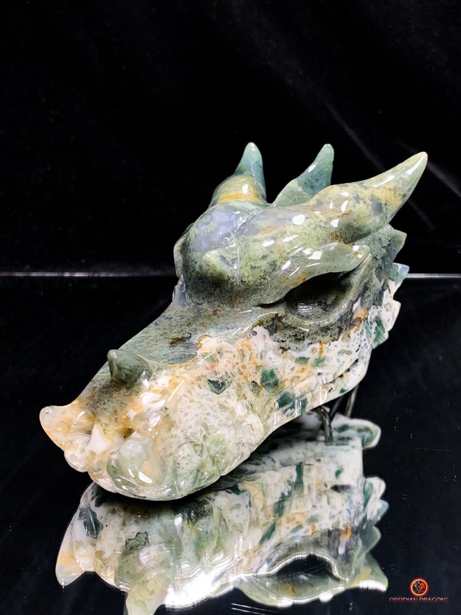 Crâne de Dragon en Agate Mousse - Transformation Intérieure | obsidian dragons