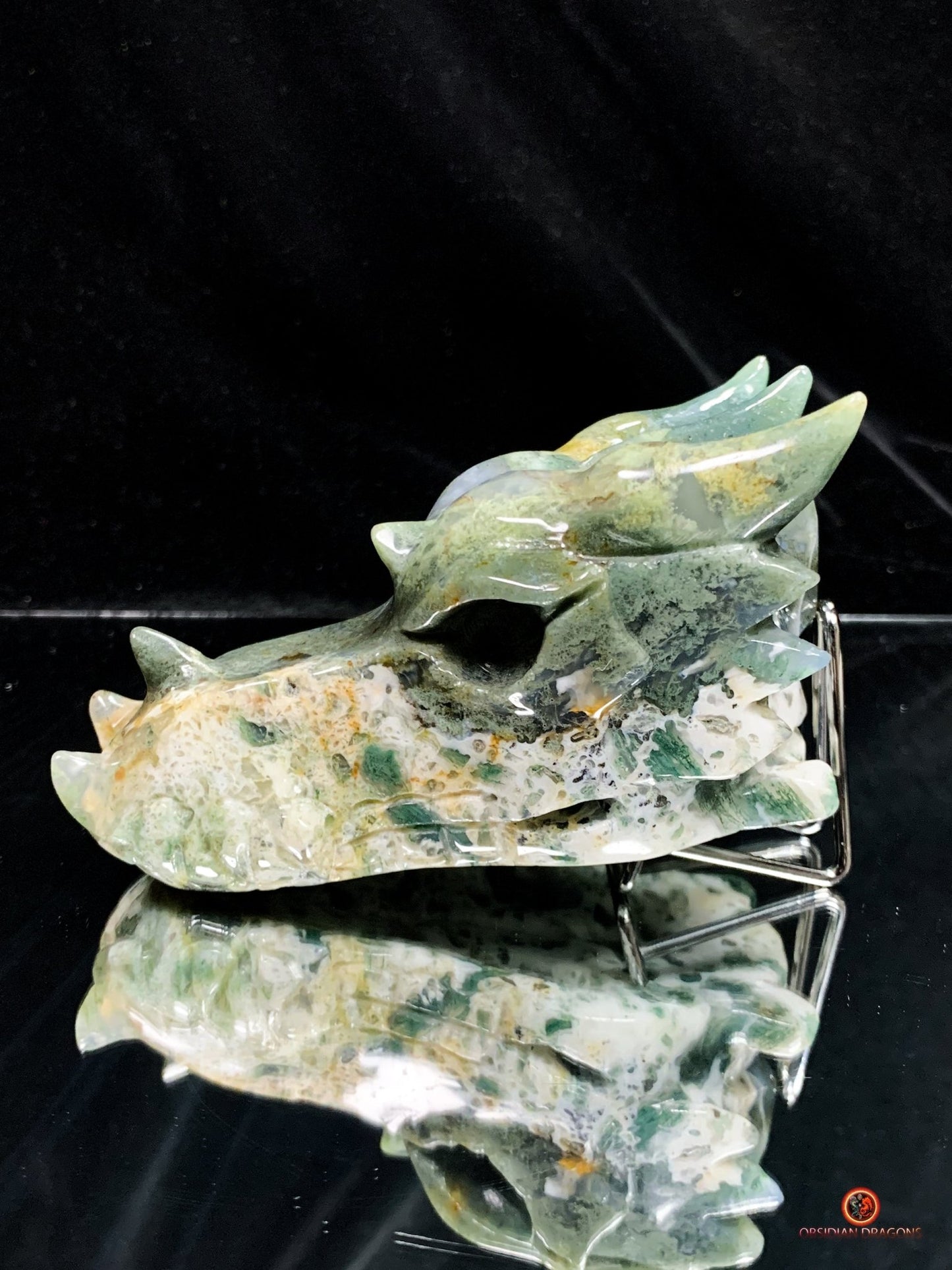 Crâne de Dragon en Agate Mousse - Transformation Intérieure | obsidian dragons