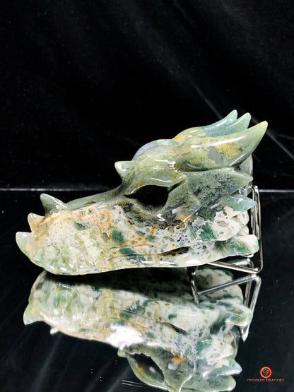 Crâne de Dragon en Agate Mousse - Transformation Intérieure | obsidian dragons
