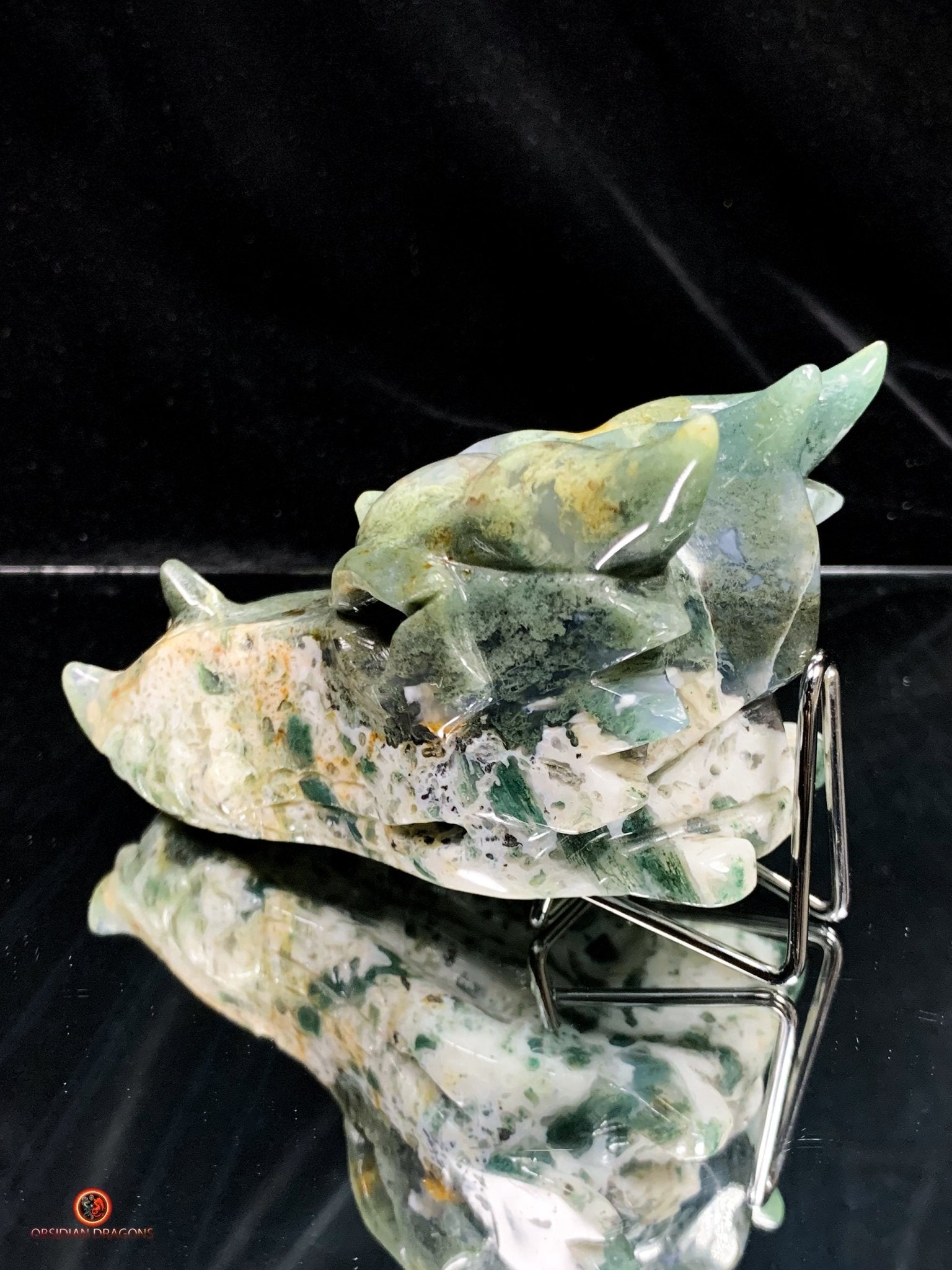 Crâne de Dragon en Agate Mousse - Transformation Intérieure | obsidian dragons