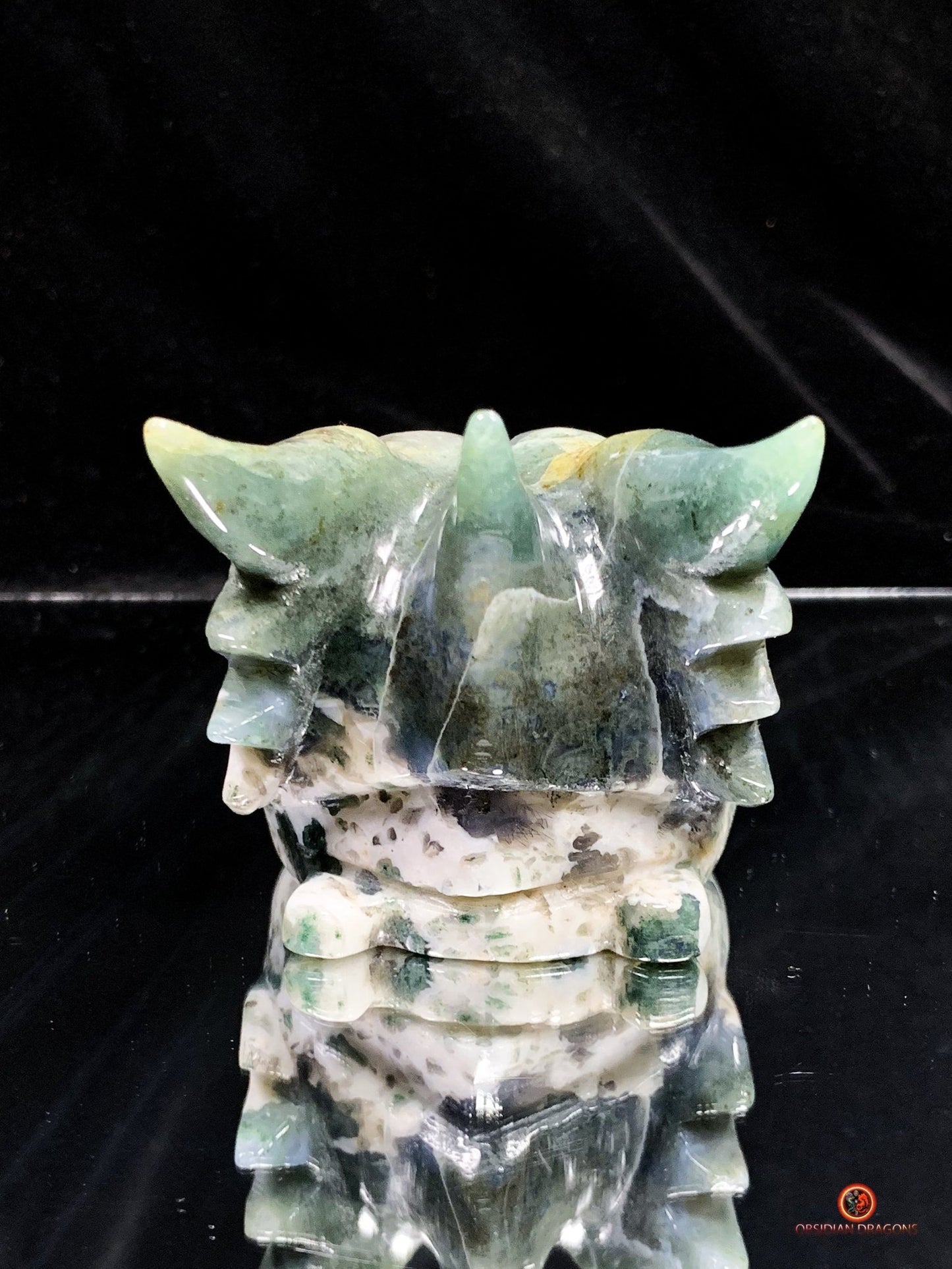 Crâne de Dragon en Agate Mousse - Transformation Intérieure | obsidian dragons