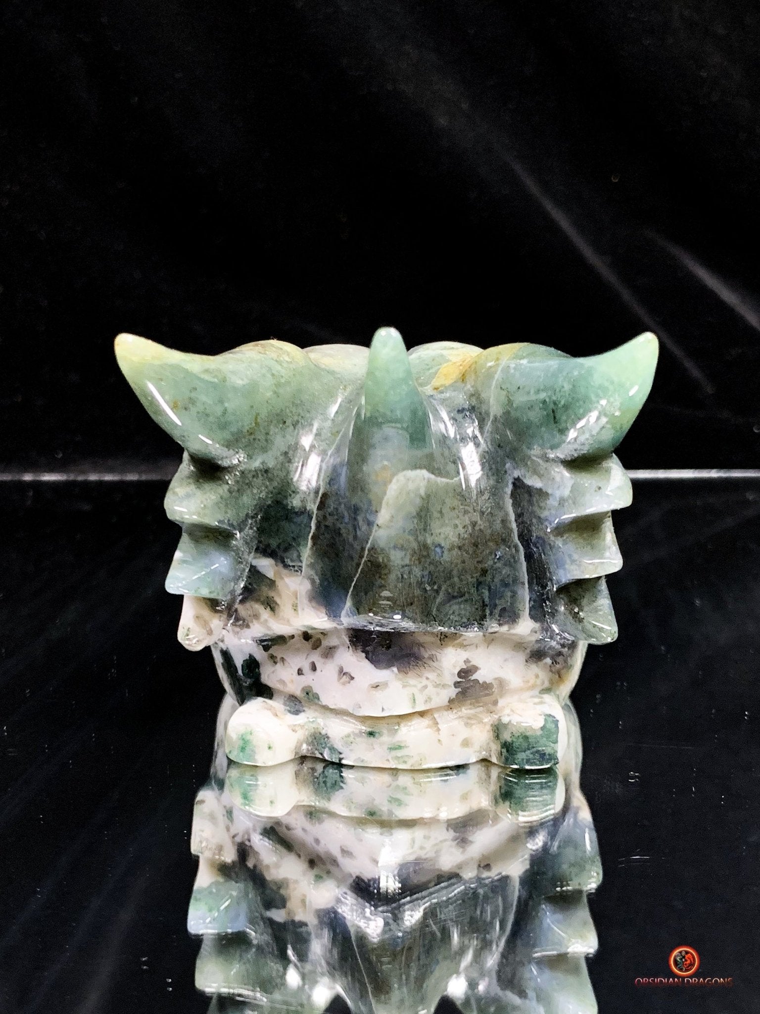 Crâne de Dragon en Agate Mousse - Transformation Intérieure | obsidian dragons