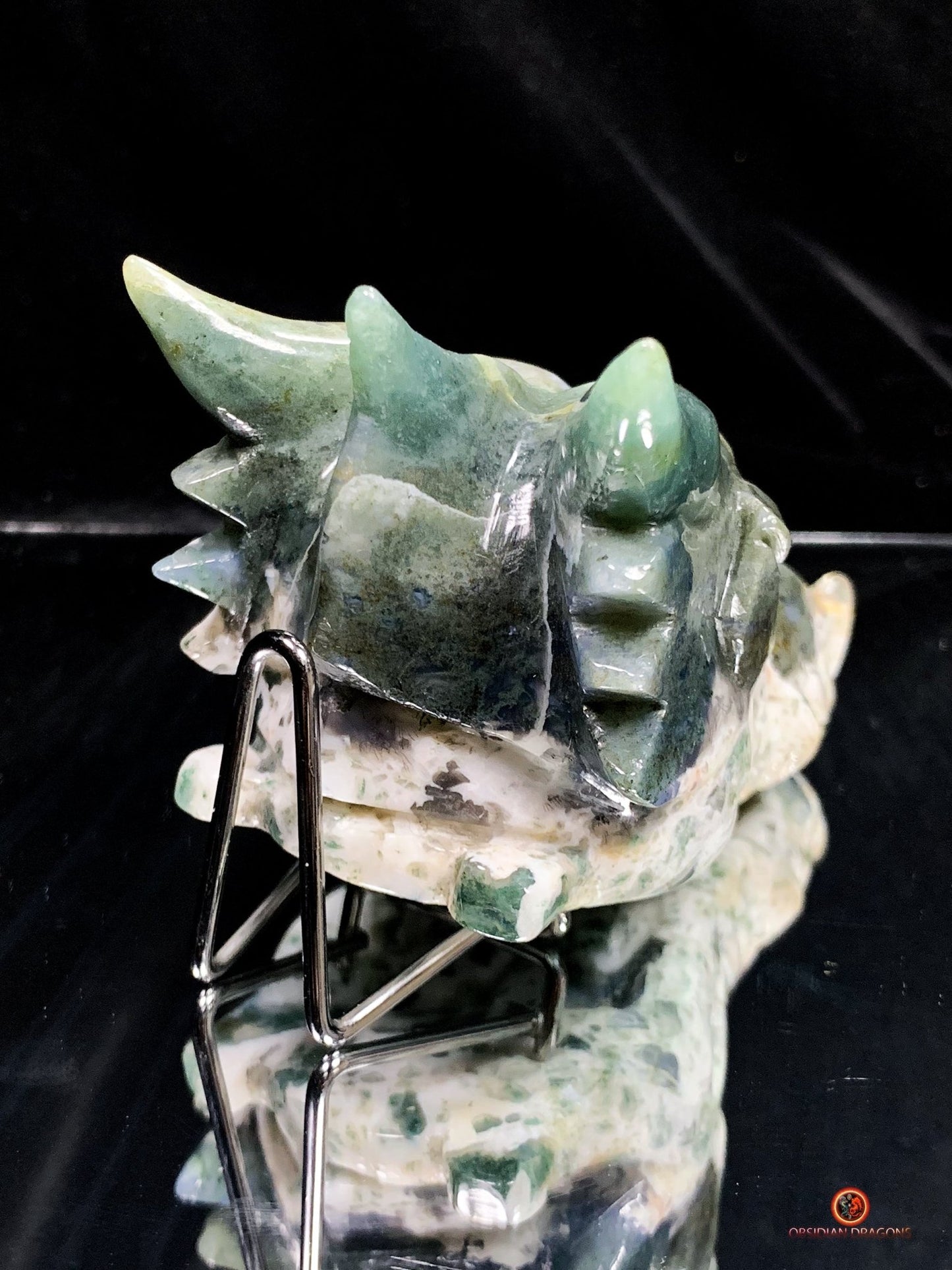 Crâne de Dragon en Agate Mousse - Transformation Intérieure | obsidian dragons