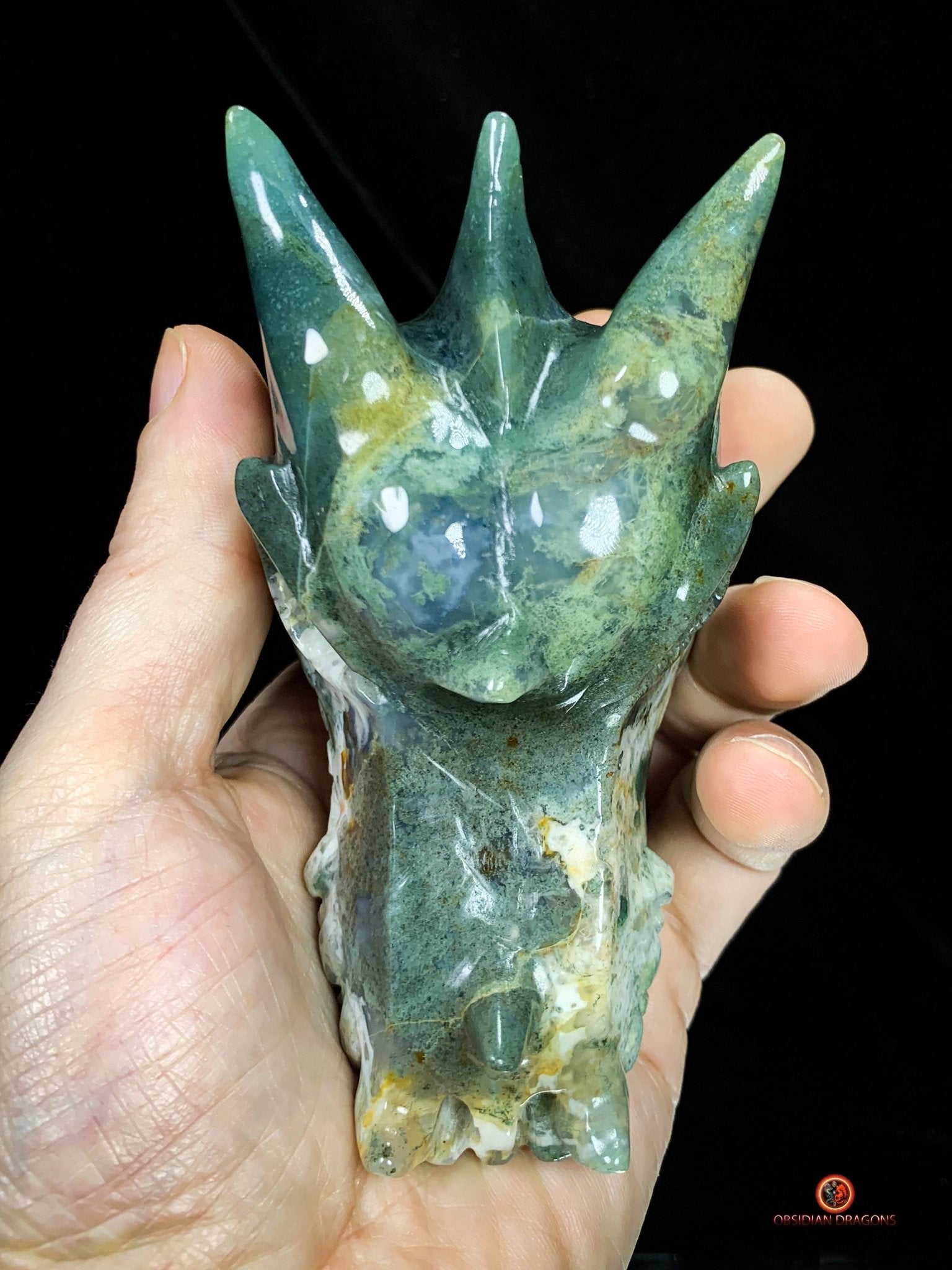 Crâne de Dragon en Agate Mousse - Transformation Intérieure | obsidian dragons
