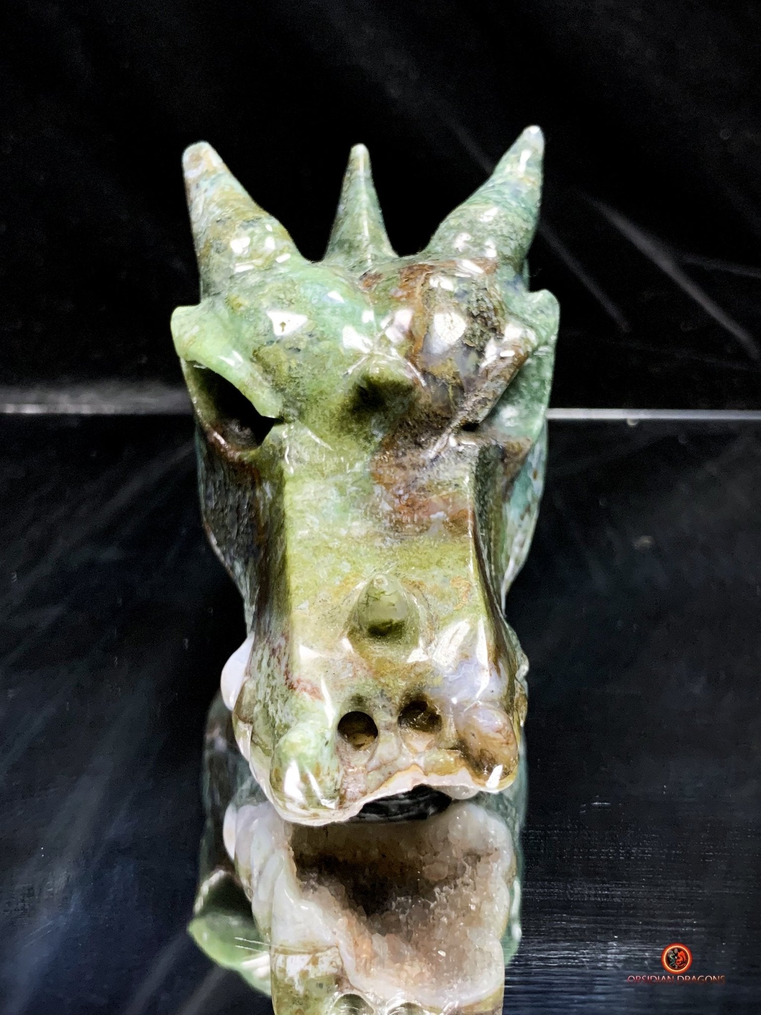 Crâne de Dragon en Agate Mousse - Transformation Spirituelle | obsidian dragons