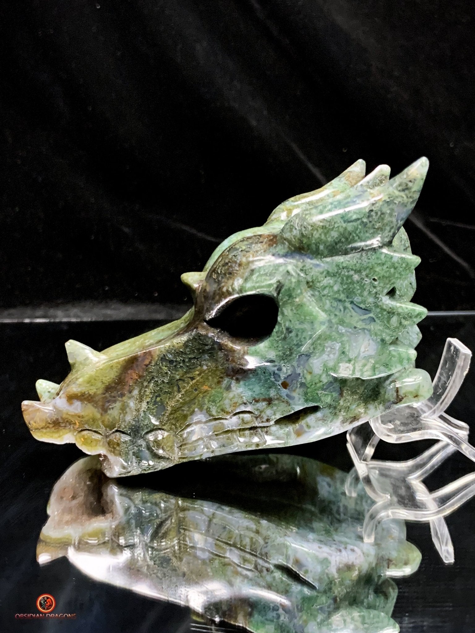 Crâne de Dragon en Agate Mousse - Transformation Spirituelle | obsidian dragons