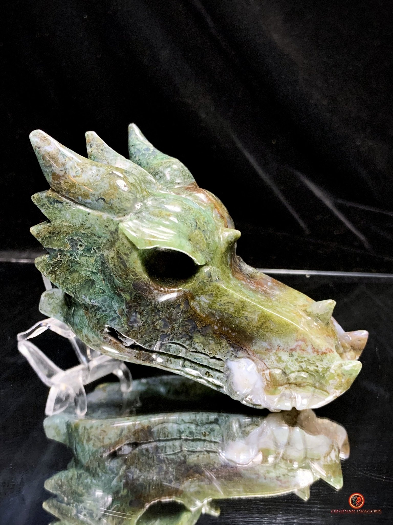 Crâne de Dragon en Agate Mousse - Transformation Spirituelle | obsidian dragons