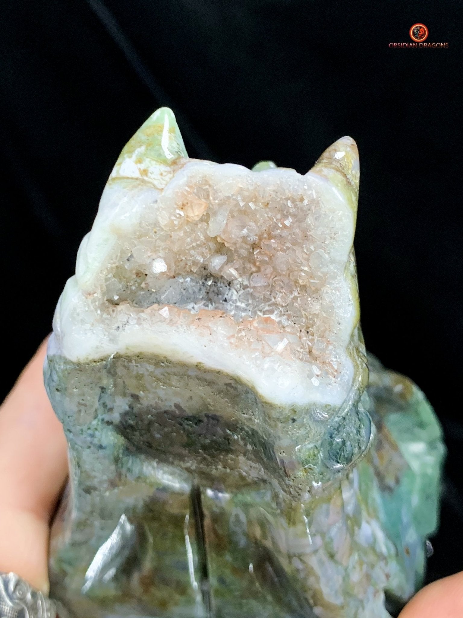 Crâne de Dragon en Agate Mousse - Transformation Spirituelle | obsidian dragons