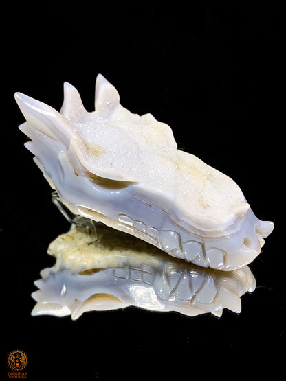 Crâne de Dragon en Calcédoine- Géode- Gardien de l éveil | obsidian dragons