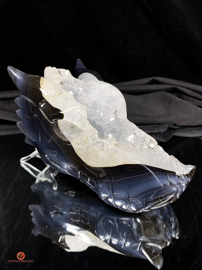 Crâne de Dragon en Géode de Quartz - Connexion draconique | obsidian dragons
