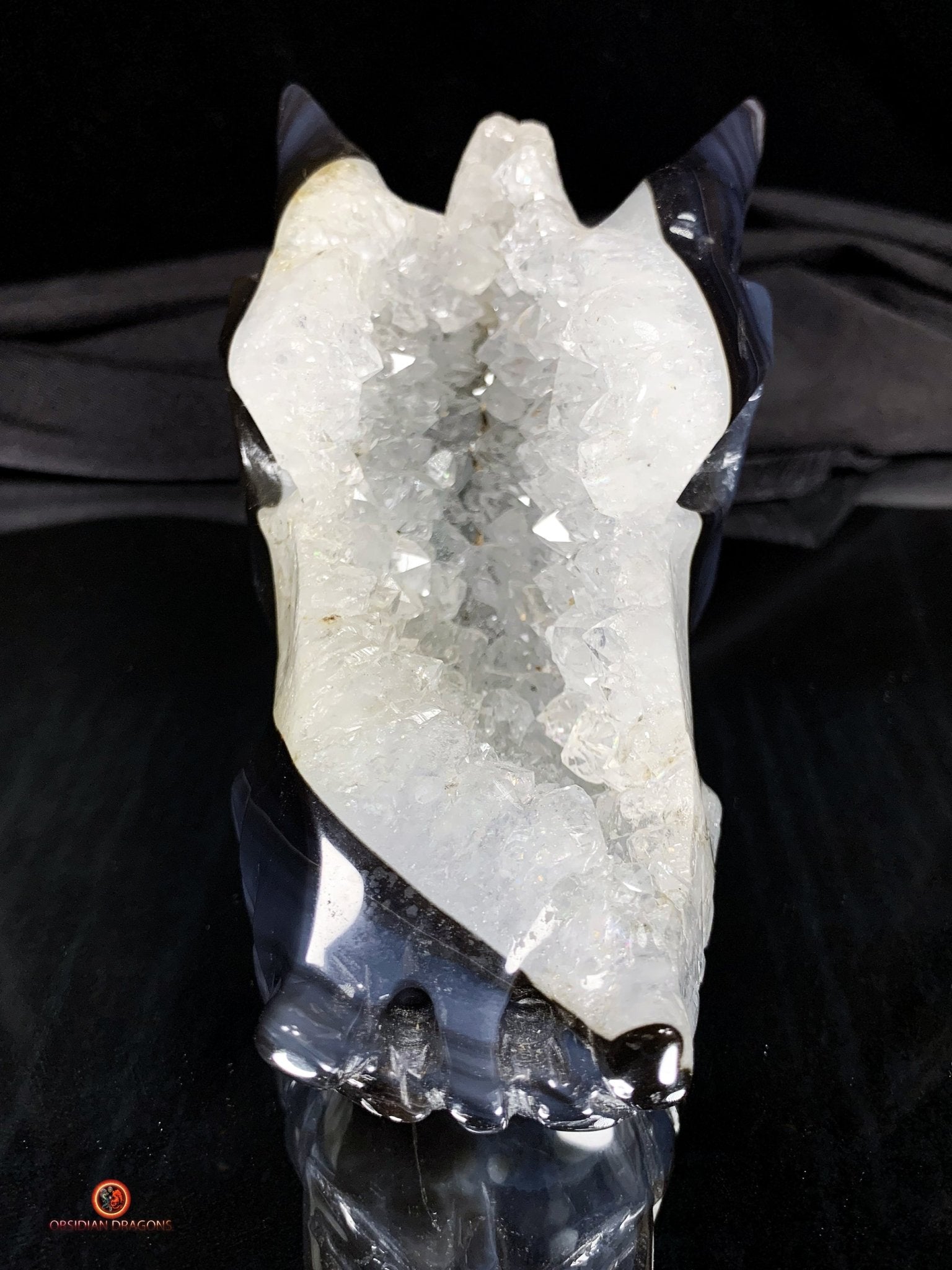 Crâne de Dragon en Géode de Quartz - Connexion draconique | obsidian dragons