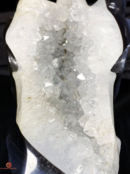 Crâne de Dragon en Géode de Quartz - Connexion draconique | obsidian dragons