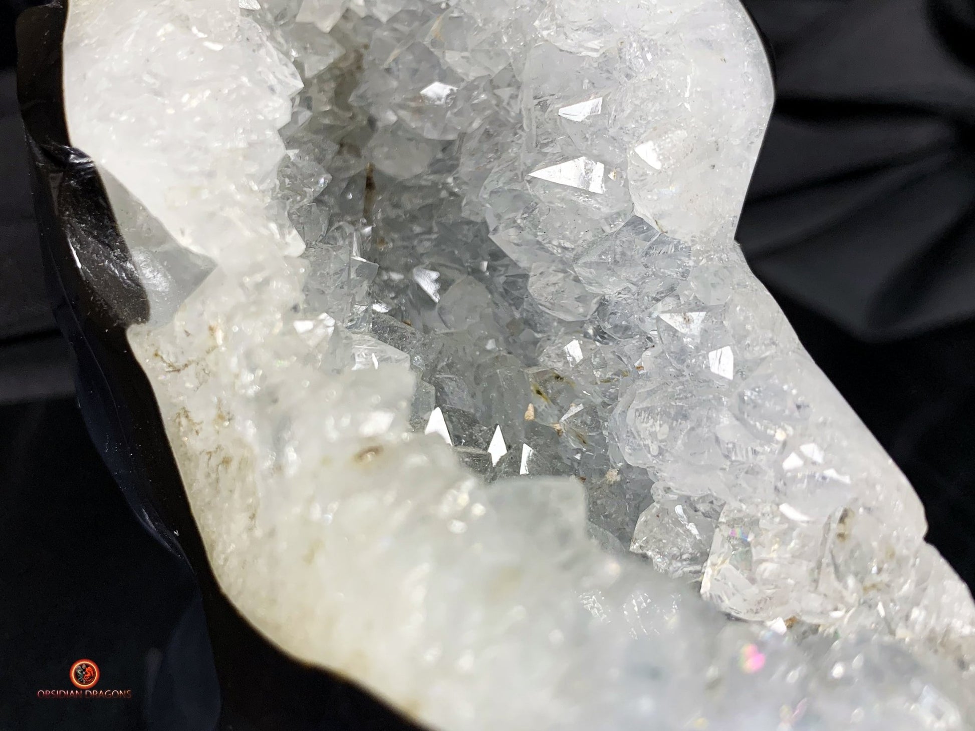 Crâne de Dragon en Géode de Quartz - Connexion draconique | obsidian dragons