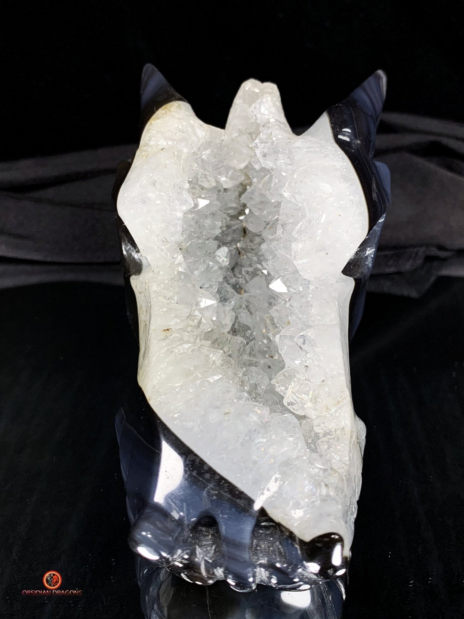 Crâne de Dragon en Géode de Quartz - Connexion draconique | obsidian dragons