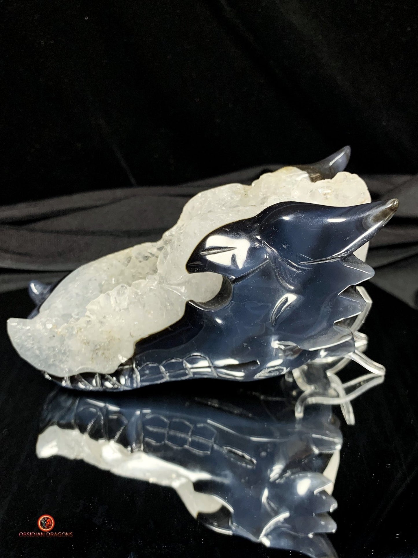 Crâne de Dragon en Géode de Quartz - Connexion draconique | obsidian dragons