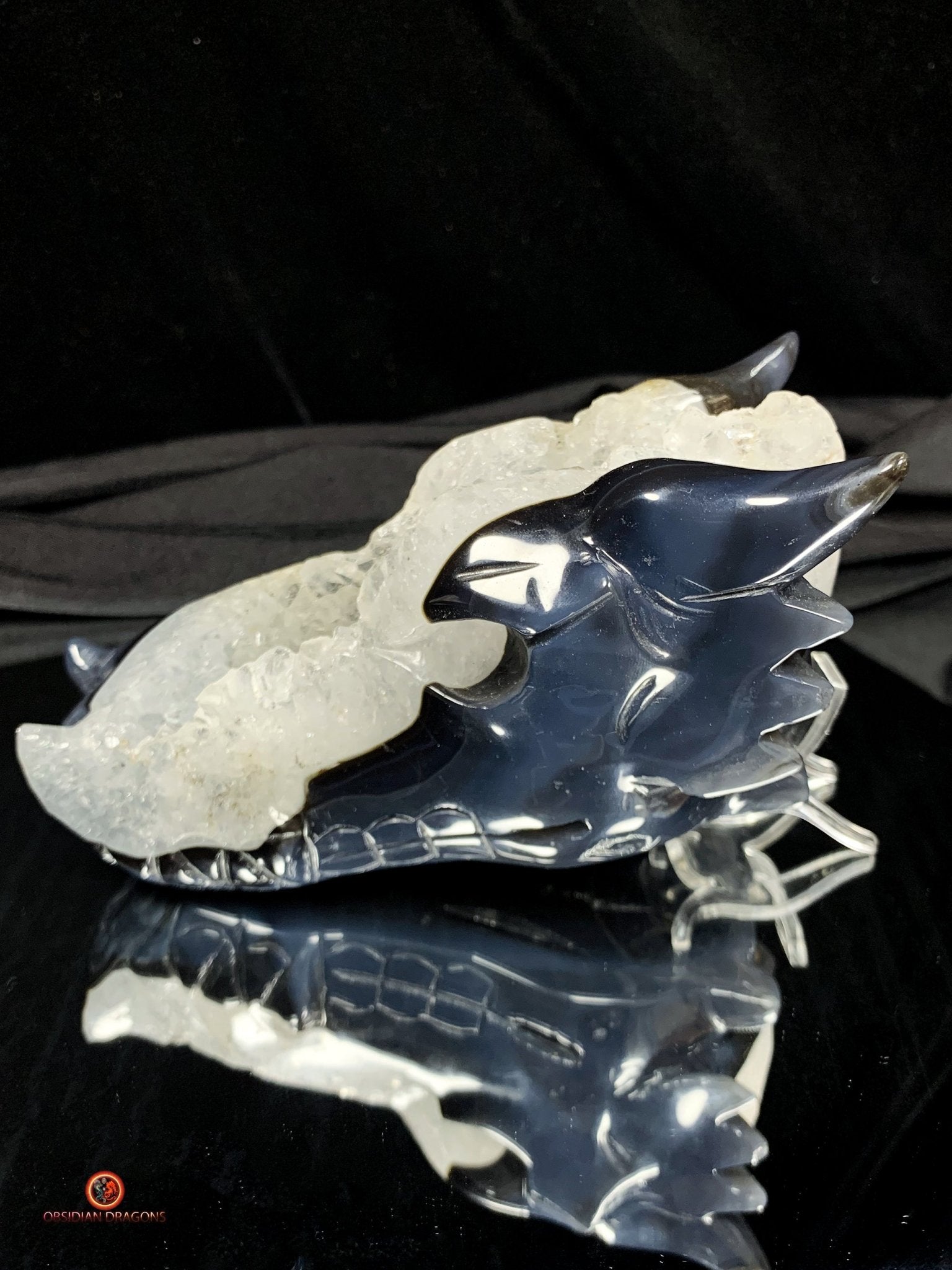 Crâne de Dragon en Géode de Quartz - Connexion draconique | obsidian dragons