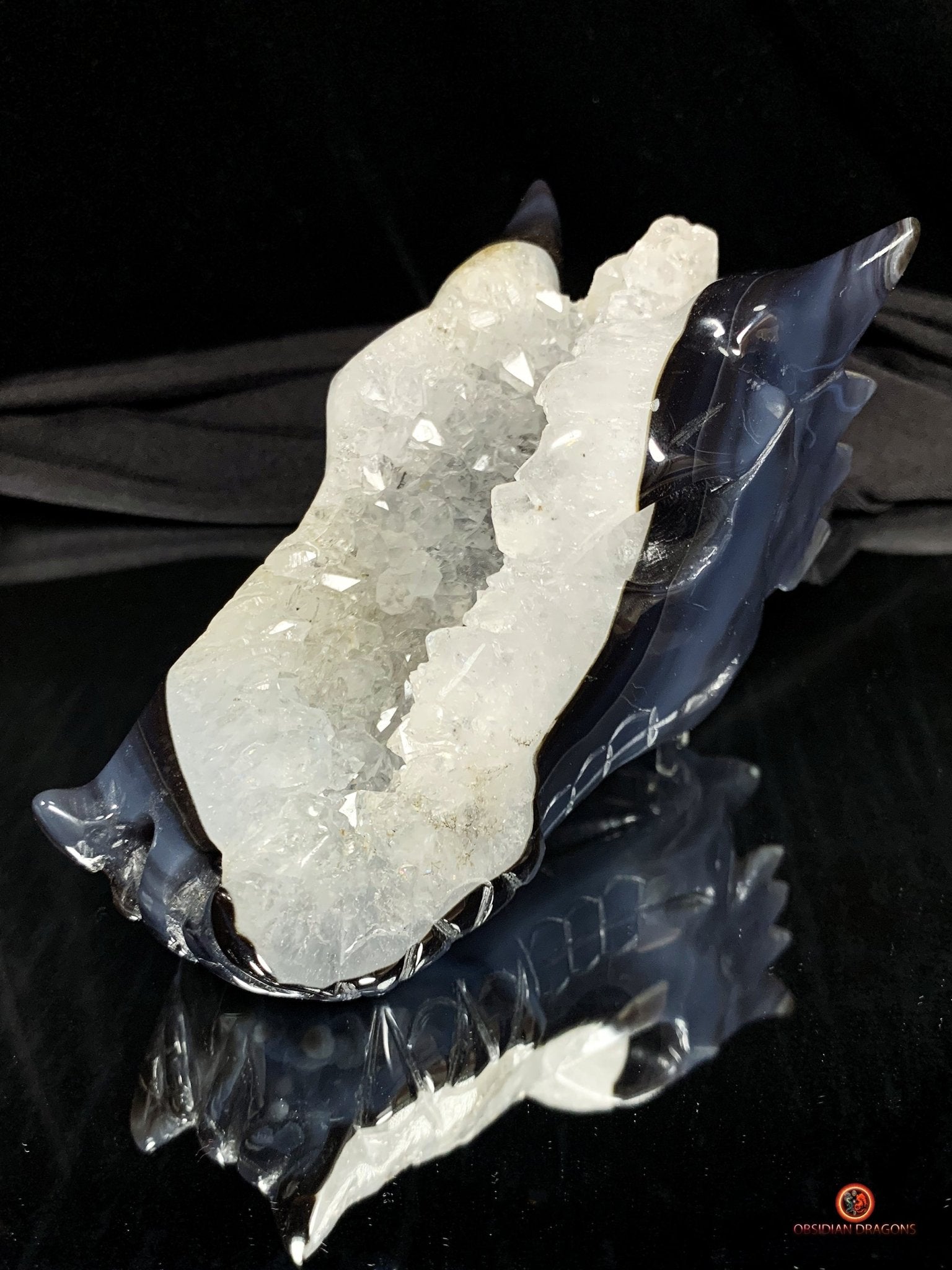 Crâne de Dragon en Géode de Quartz - Connexion draconique | obsidian dragons
