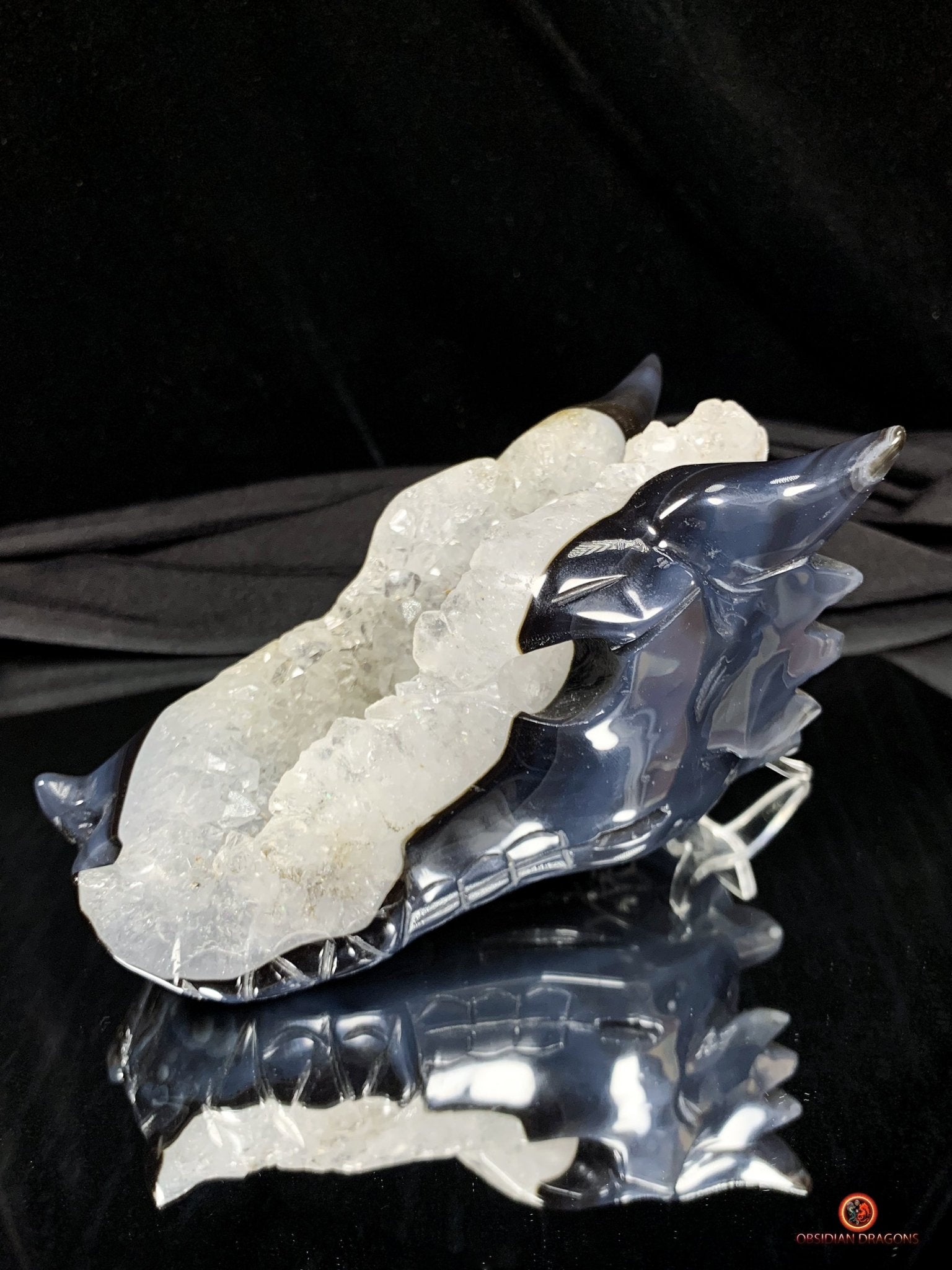Crâne de Dragon en Géode de Quartz - Connexion draconique | obsidian dragons