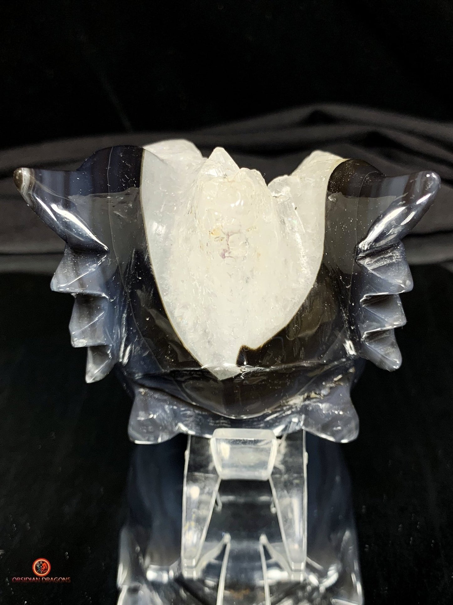 Crâne de Dragon en Géode de Quartz - Connexion draconique | obsidian dragons