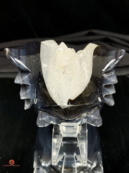 Crâne de Dragon en Géode de Quartz - Connexion draconique | obsidian dragons