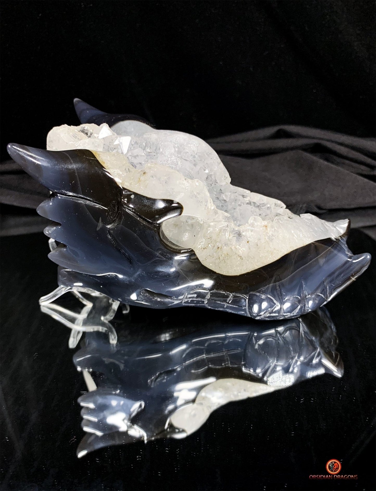 Crâne de Dragon en Géode de Quartz - Connexion draconique | obsidian dragons