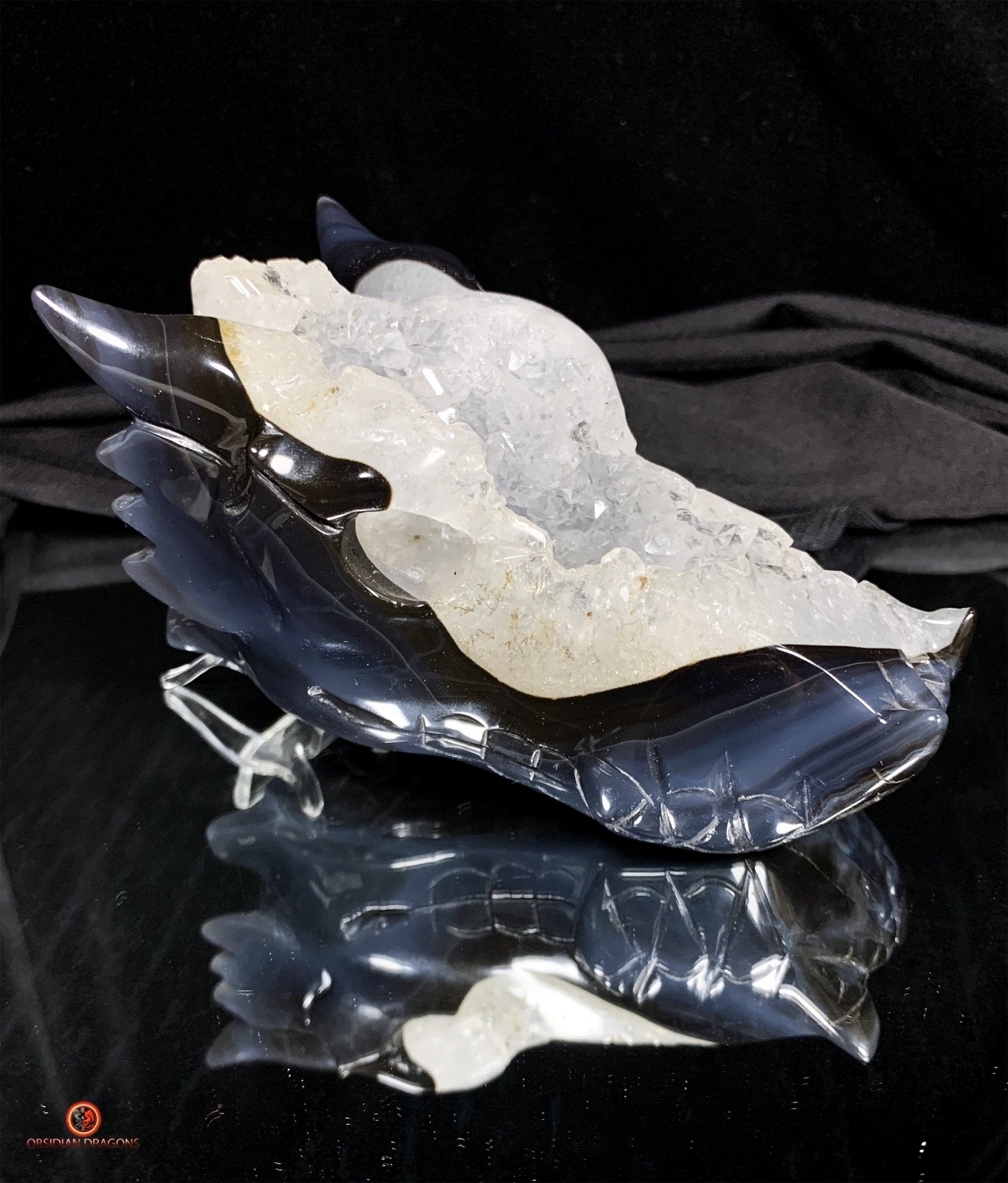 Crâne de Dragon en Géode de Quartz - Connexion draconique | obsidian dragons