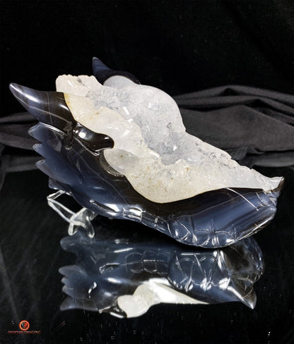 Crâne de Dragon en Géode de Quartz - Connexion draconique | obsidian dragons