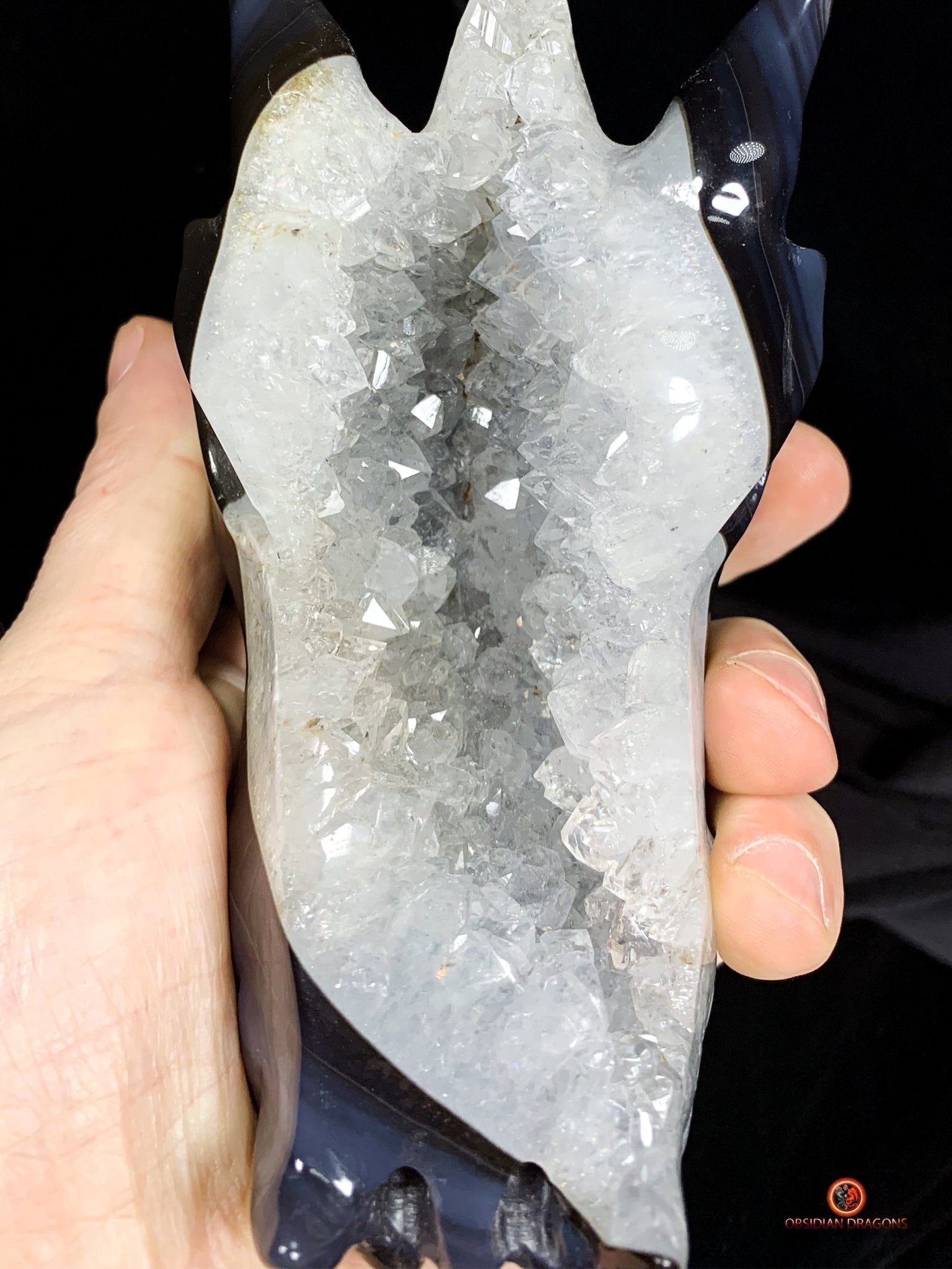 Crâne de Dragon en Géode de Quartz - Connexion draconique | obsidian dragons