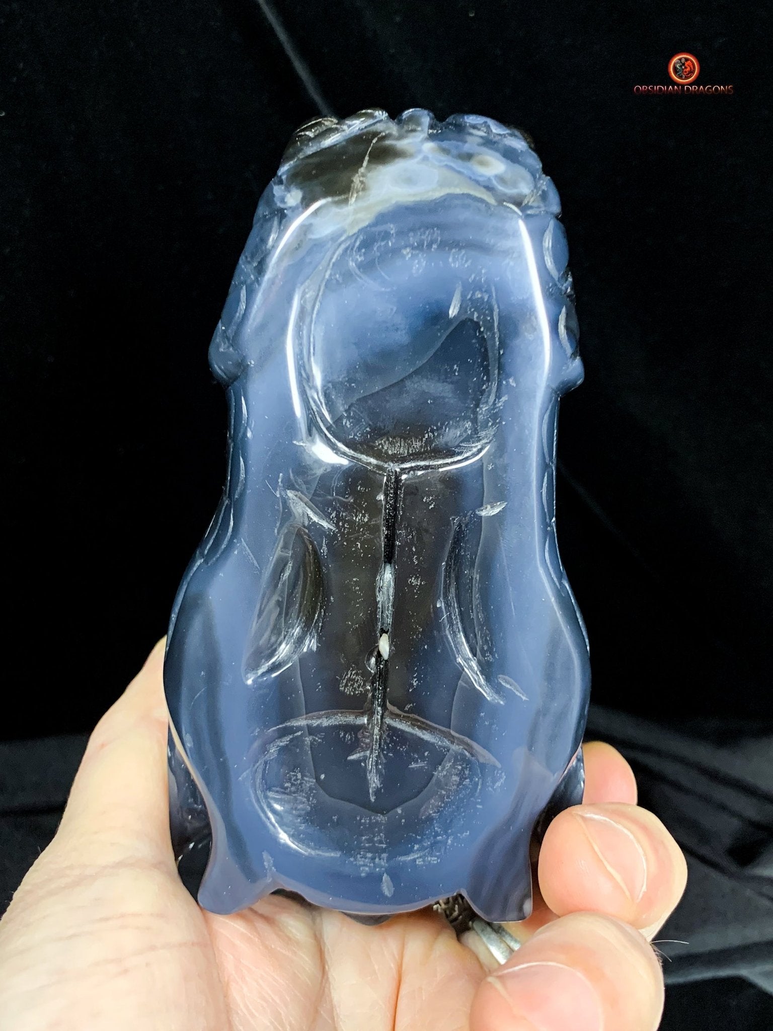 Crâne de Dragon en Géode de Quartz - Connexion draconique | obsidian dragons