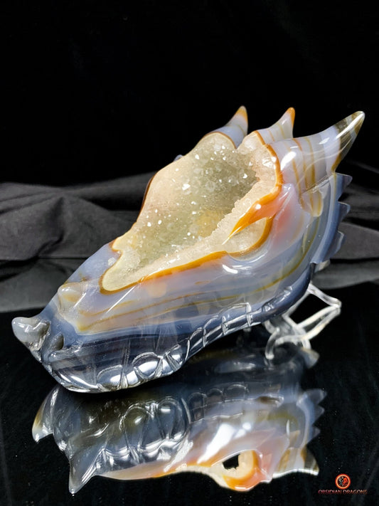 crâne de dragon en Géode de Quartz - Energie draconique | obsidian dragons