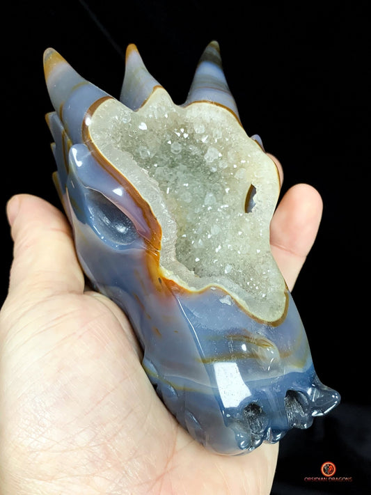 crâne de dragon en Géode de Quartz - Energie draconique | obsidian dragons