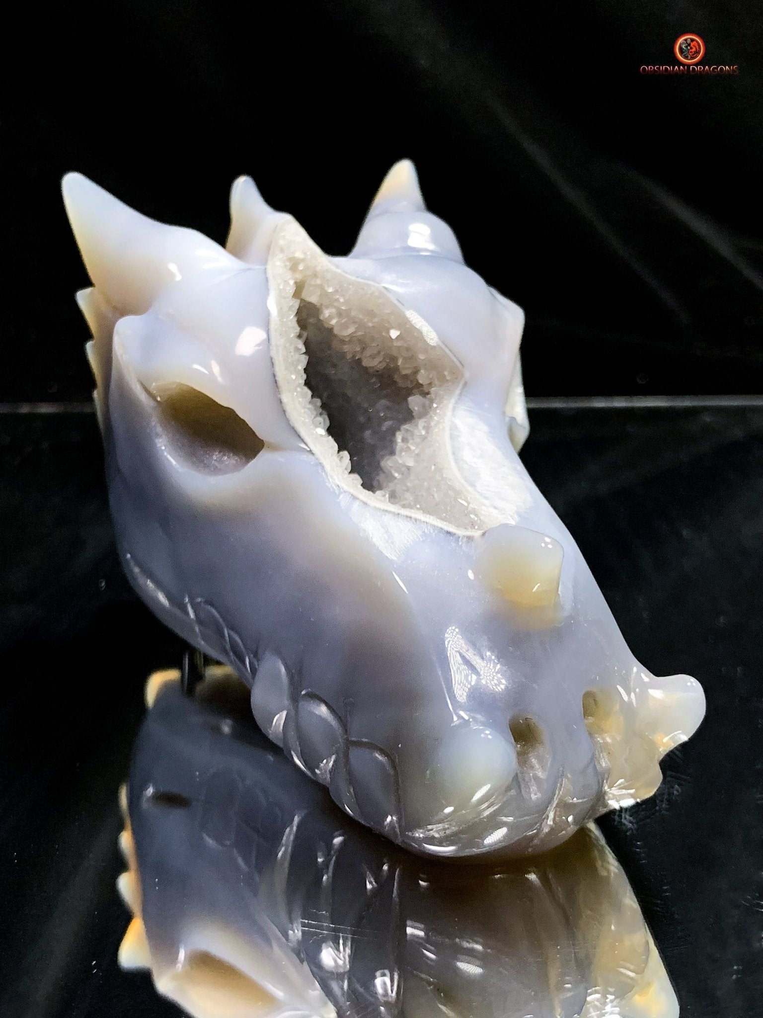 Crâne de Dragon en Géode de Quartz – Éveil et Protection | obsidian dragons